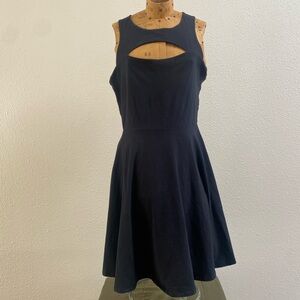 Bar III Black Fit and Flare Mini Dress